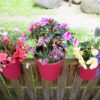 KHW Flowerclip 3er-Set bepflanzt Draufsicht brombeere