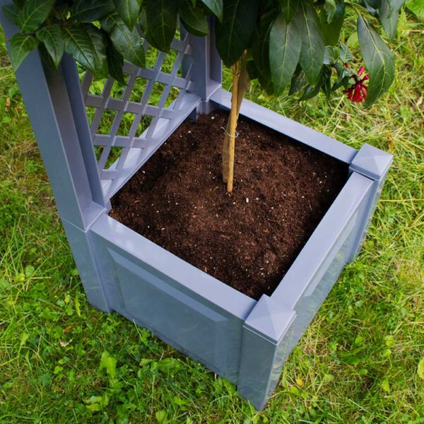 Pflanzkasten 43 cm mit Spalier – Bild 6