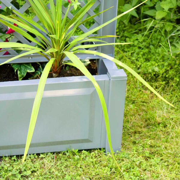 Pflanzkasten 100 cm mit mittigem Spalier – Bild 3