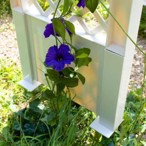 Rosenbogen – Bild 7