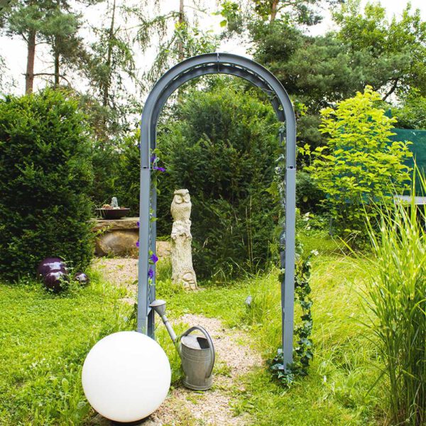 Rosenbogen – Bild 2