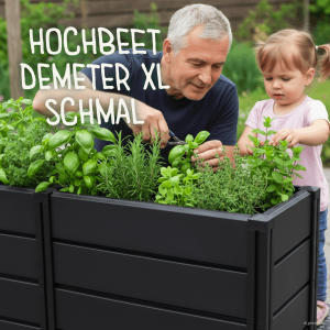Hochbeet Demeter XXL schmal aus anthrazitfarbenem Kunststoff, rechteckige Form mit mittiger Trennung, bepflanzt mit Kräutern, im Garten stehend.