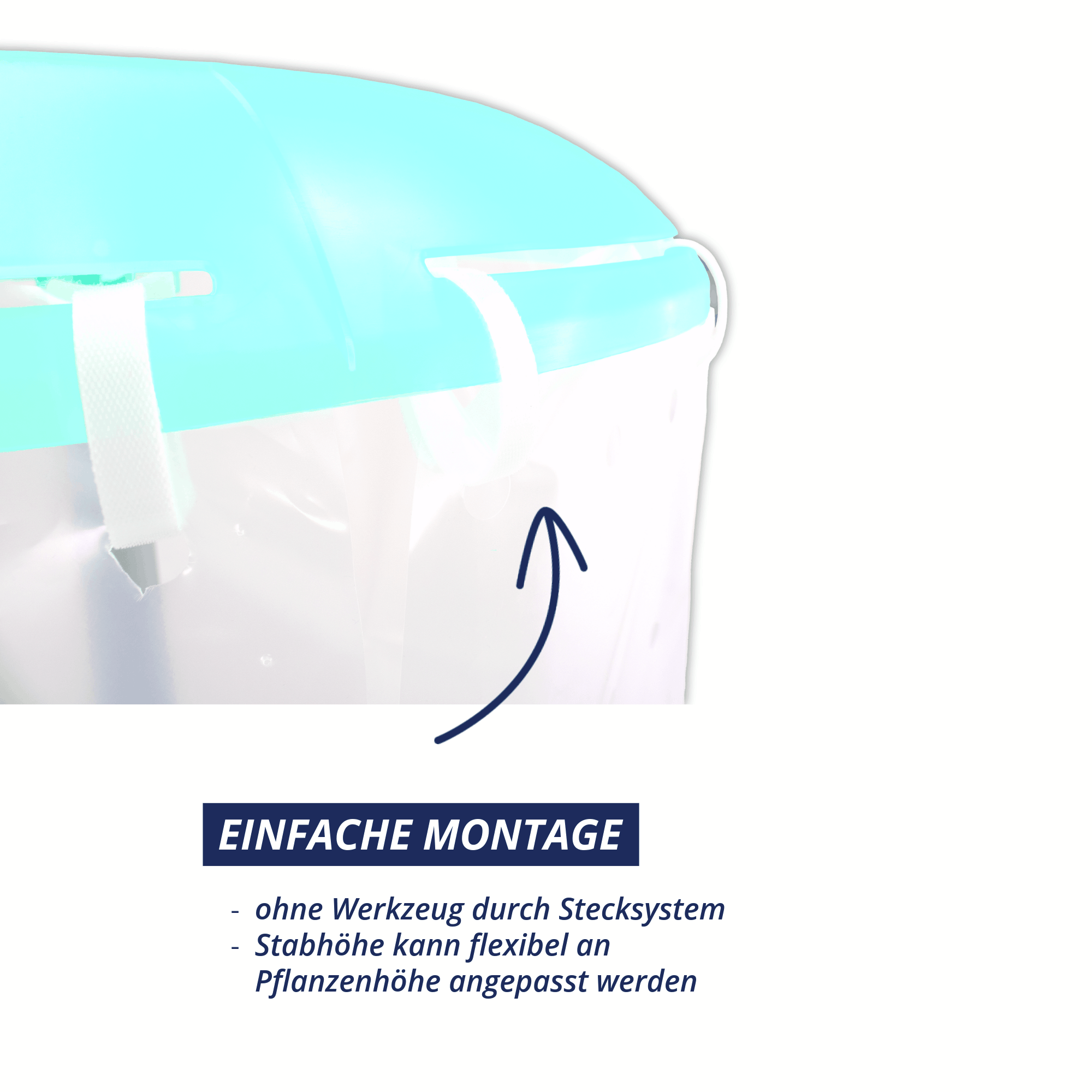 Detail der einfachen Montage des Tomatenhuts mit Stecksystem, höhenverstellbarer Stab passt sich dem Pflanzenwachstum an.