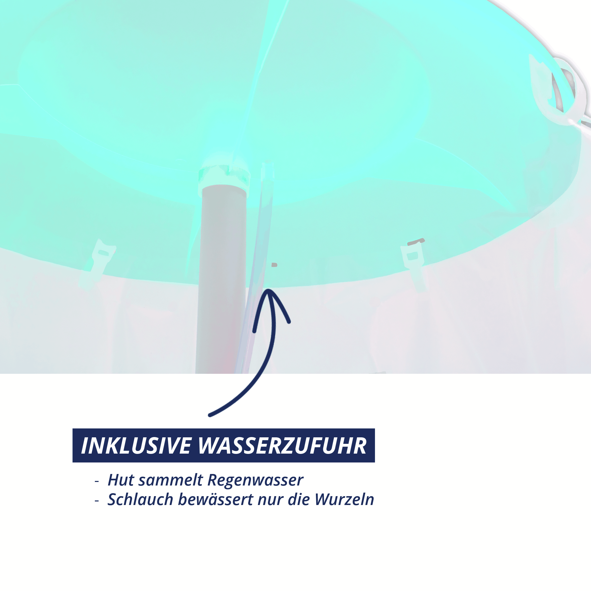 Deckel des Tomatenhuts mit Schlauchführung zur Bewässerung, System sammelt Regenwasser und leitet es direkt zu den Wurzeln.