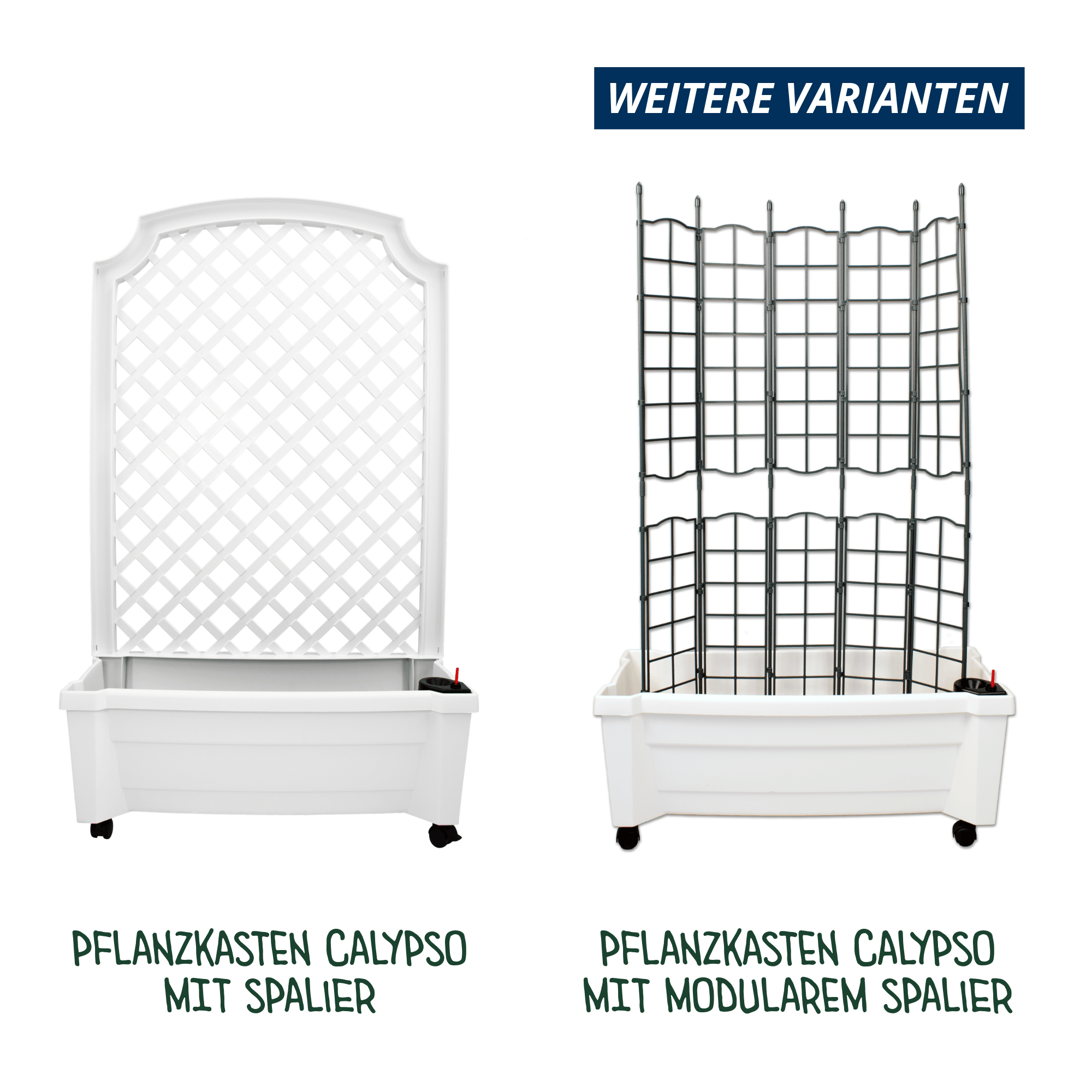 Übersicht weiterer Varianten des Pflanzkastens Calypso. Links: weiße Version mit festem Spalier. Rechts: weiße Version mit modularem Spalier. Text im Bild: „Weitere Varianten“.