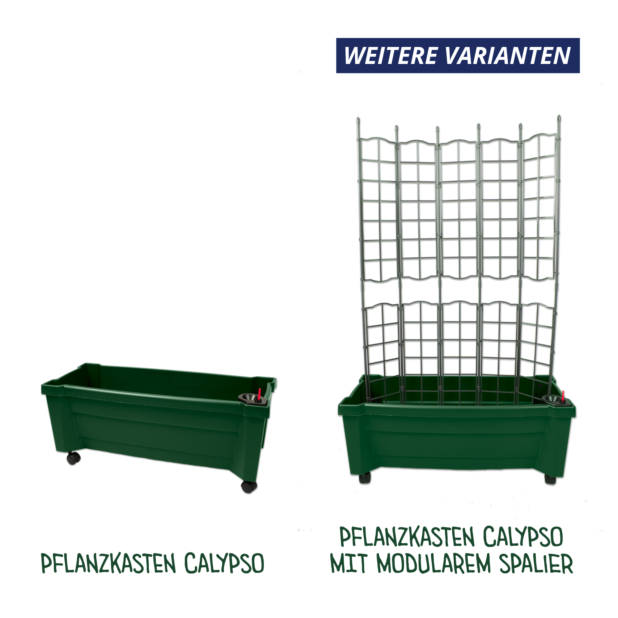 Varianten des grünen KHW Calypso Pflanzkastens: ohne Spalier und mit modularem Metallspalier, jeweils mit Rollen und Wasserspeicher.